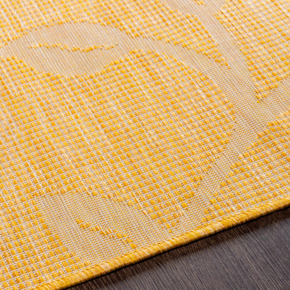 Pasadena PSA-2324 Machine Woven Rug