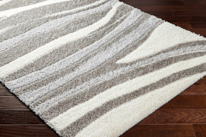 Nomadic NMC-2312 Machine Woven Rug