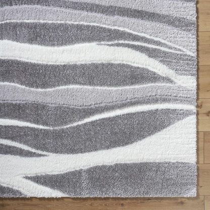 Nomadic NMC-2312 Machine Woven Rug