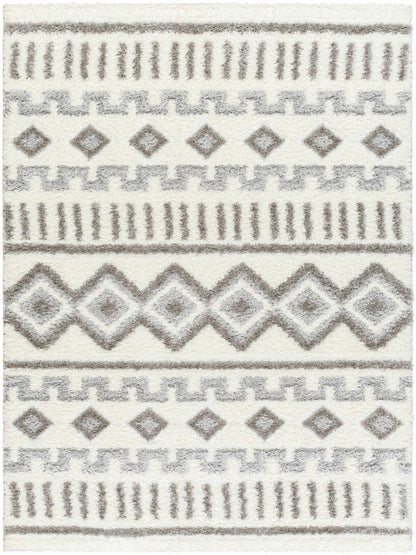Nomadic NMC-2302 Machine Woven Rug