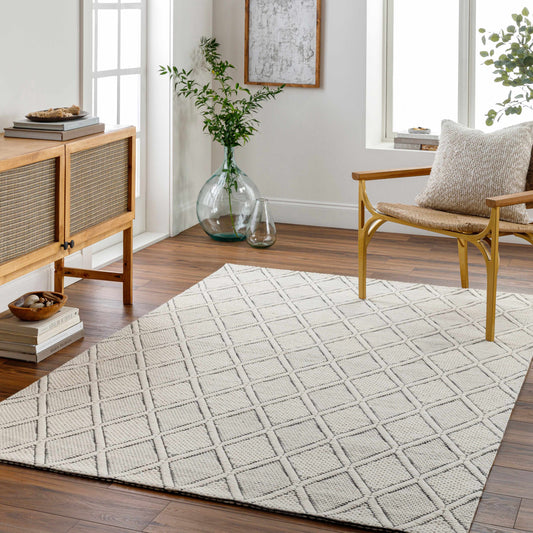 Nevada NVD-2303 Hand Woven Rug