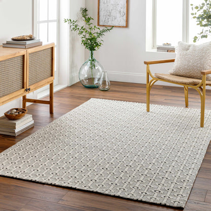 Nevada NVD-2301 Hand Woven Rug