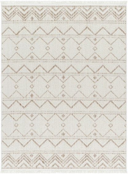 New Delhi NWH-2305 Machine Woven Rug