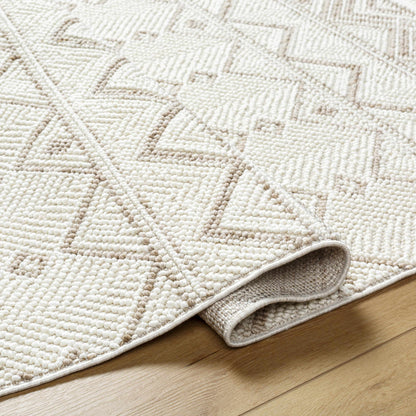 New Delhi NWH-2305 Machine Woven Rug