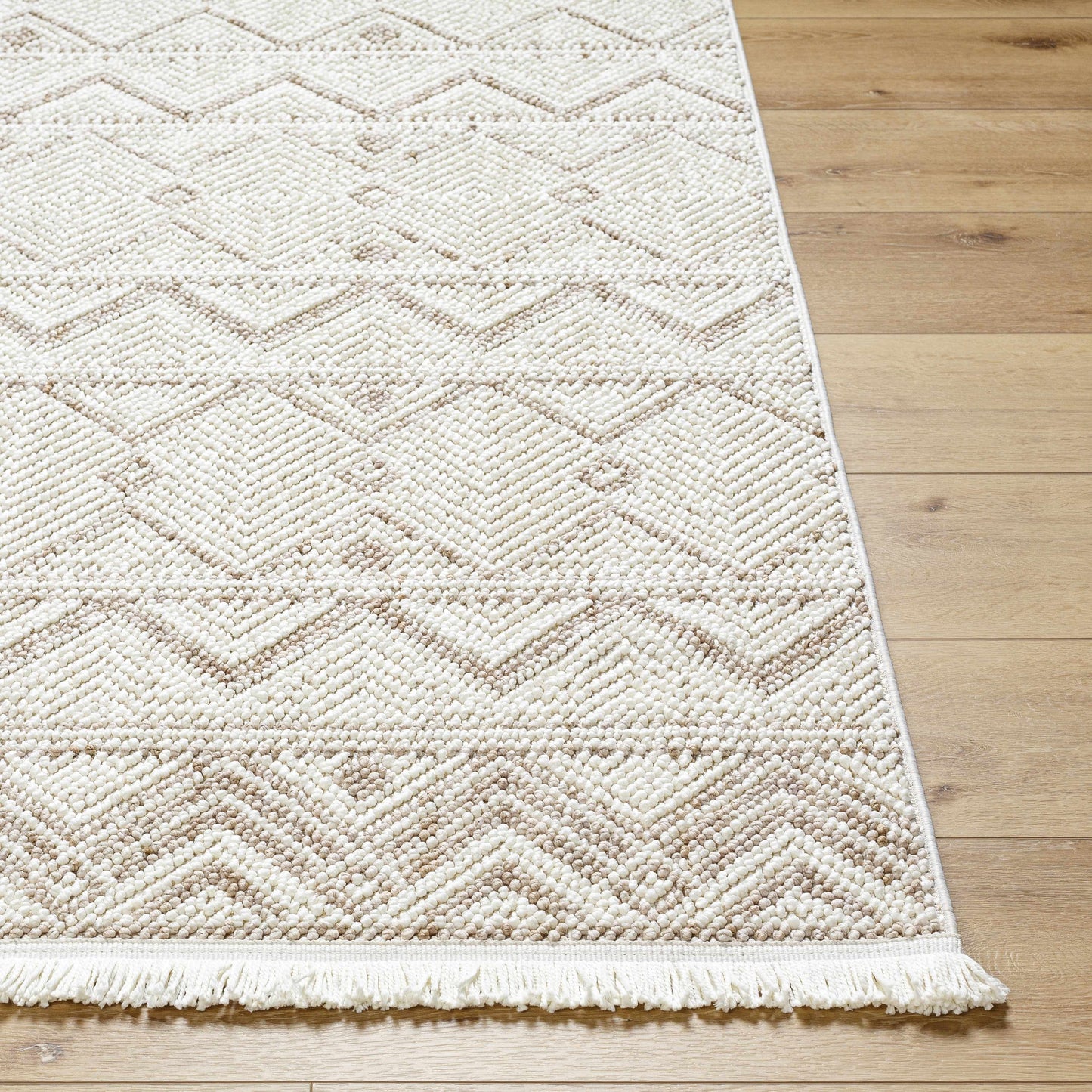 New Delhi NWH-2305 Machine Woven Rug