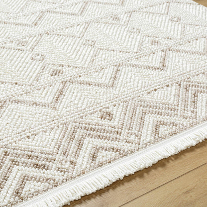 New Delhi NWH-2305 Machine Woven Rug