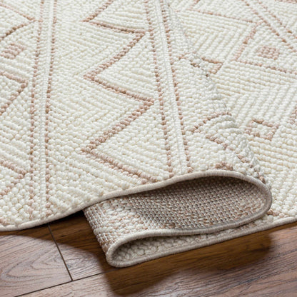 New Delhi NWH-2305 Machine Woven Rug