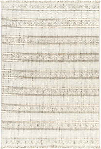 New Delhi NWH-2307 Machine Woven Rug