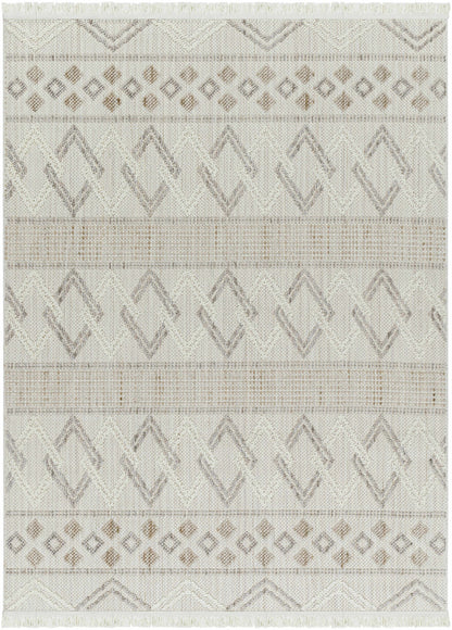 New Delhi NWH-2309 Machine Woven Rug
