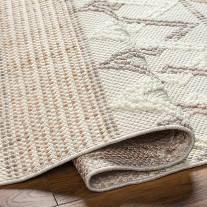 New Delhi NWH-2309 Machine Woven Rug