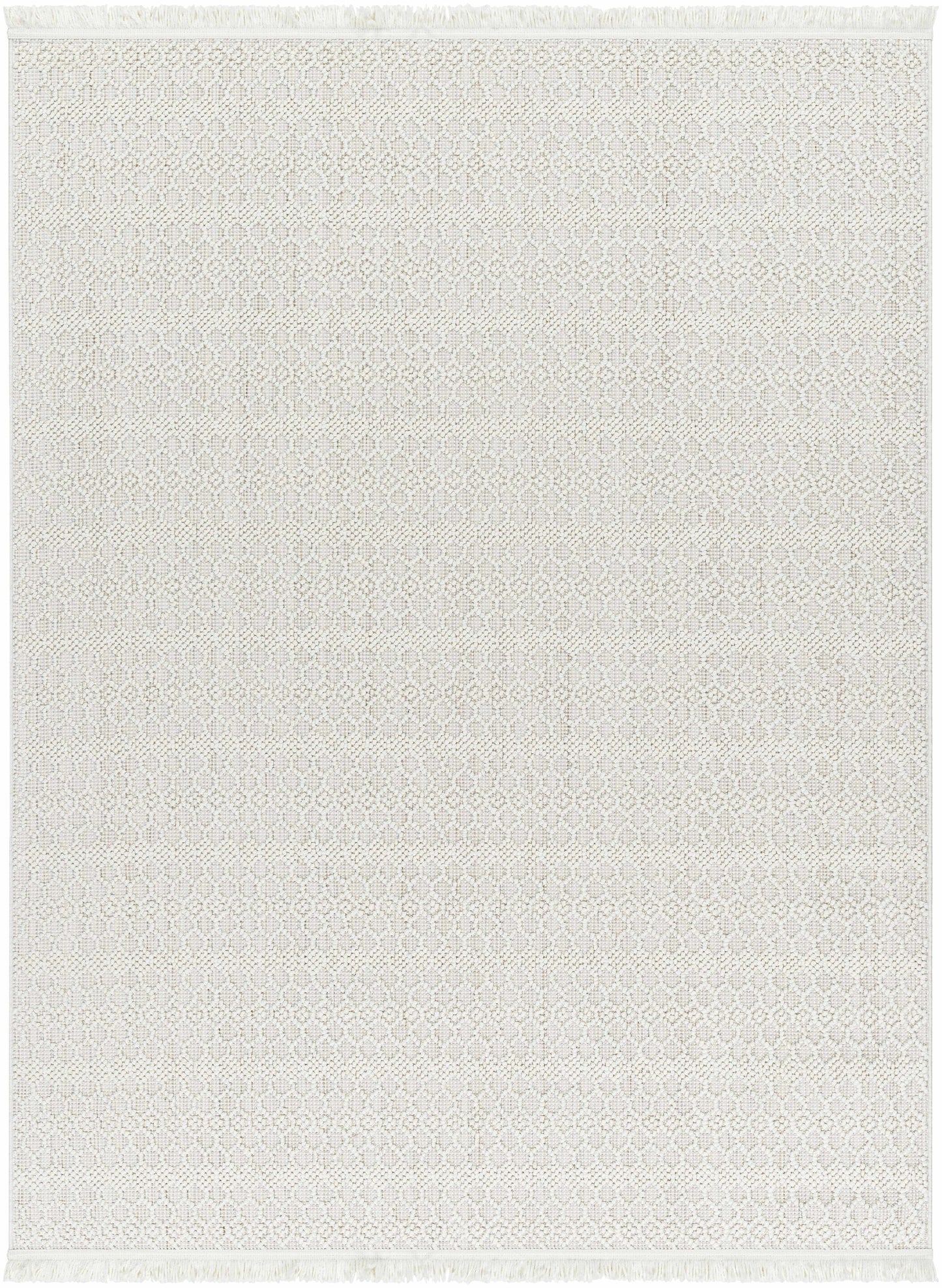 New Delhi NWH-2308 Machine Woven Rug