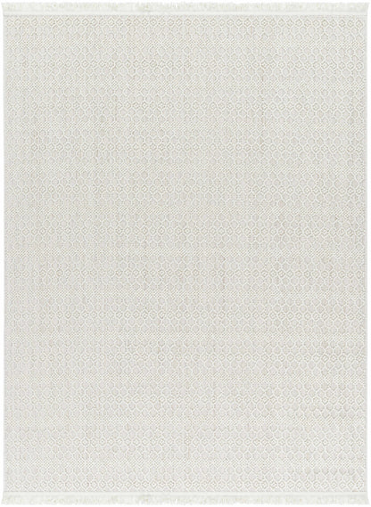 New Delhi NWH-2308 Machine Woven Rug