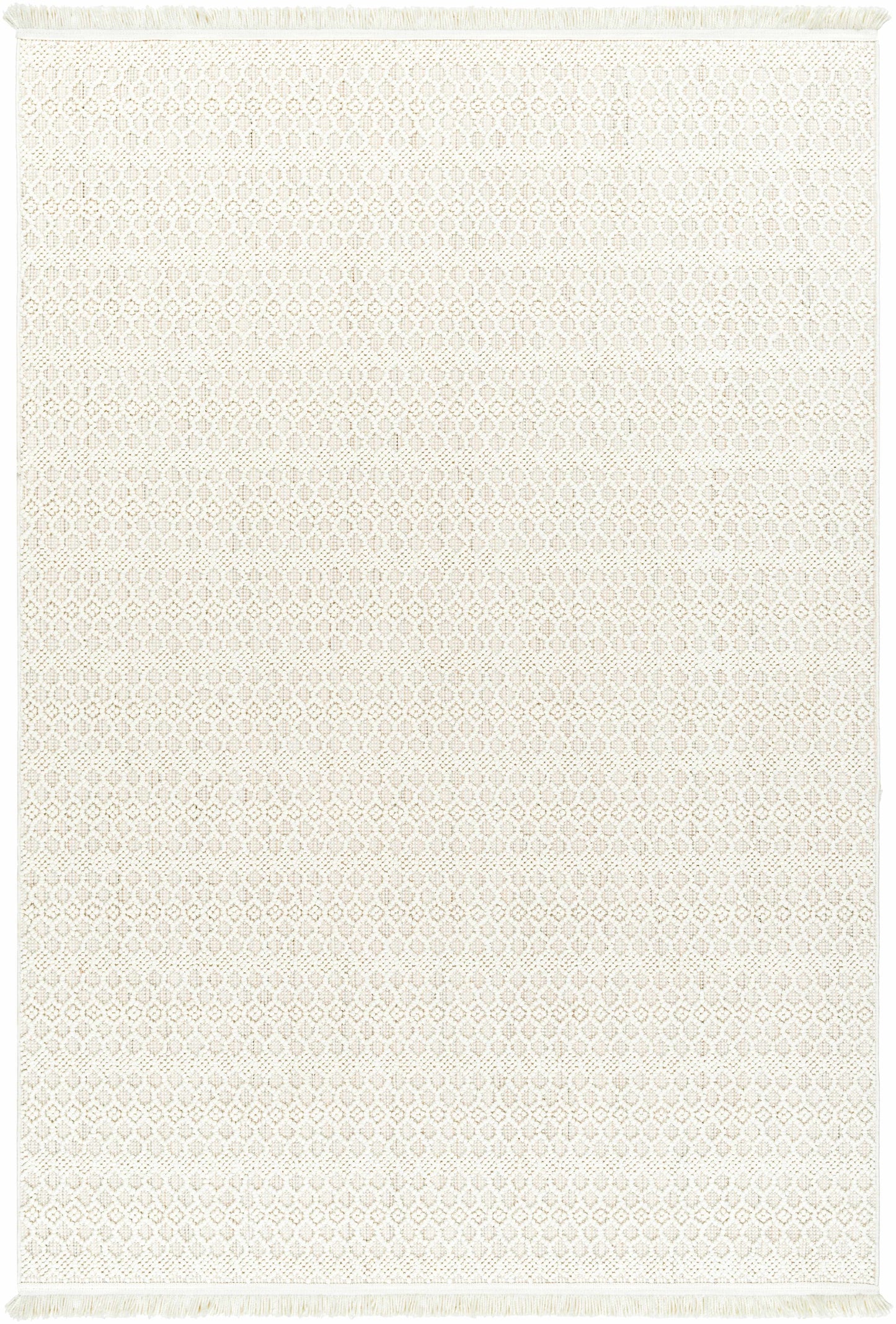 New Delhi NWH-2308 Machine Woven Rug