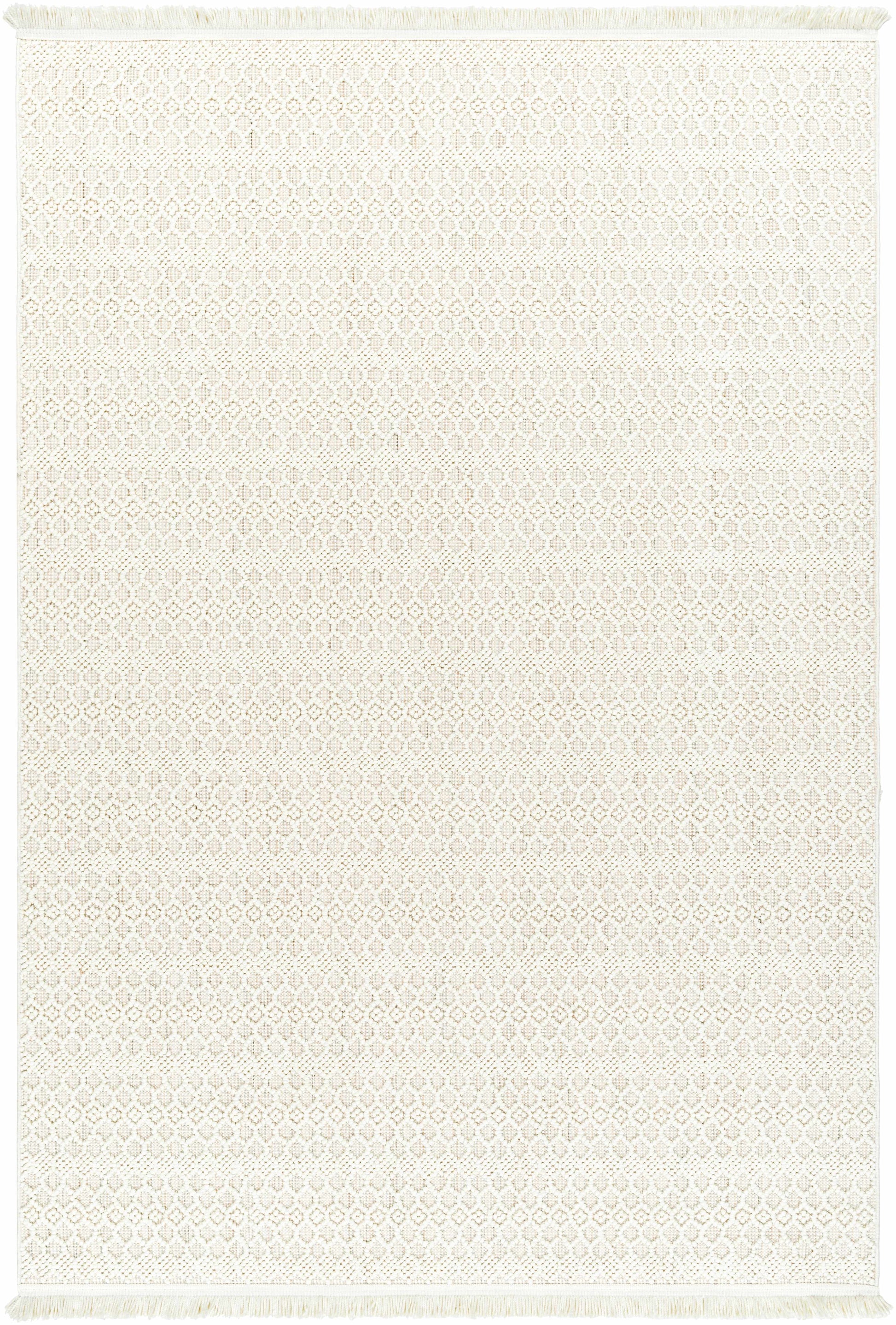 New Delhi NWH-2308 Machine Woven Rug