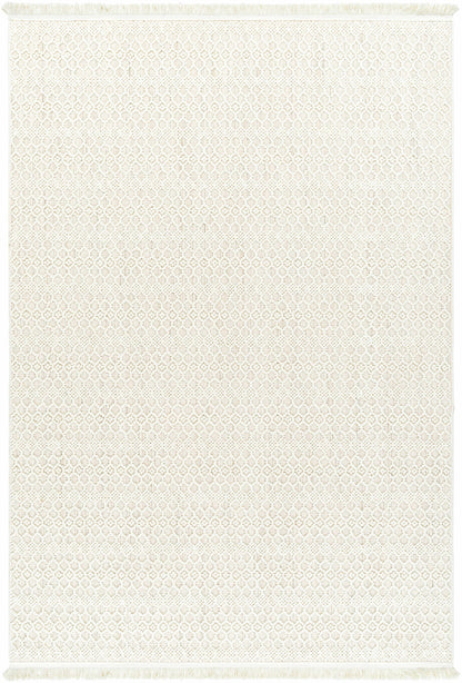 New Delhi NWH-2308 Machine Woven Rug