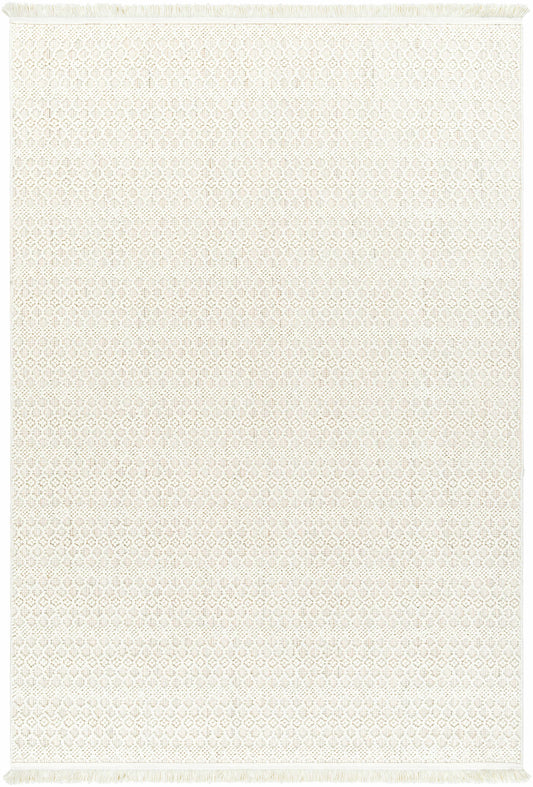 New Delhi NWH-2308 Machine Woven Rug