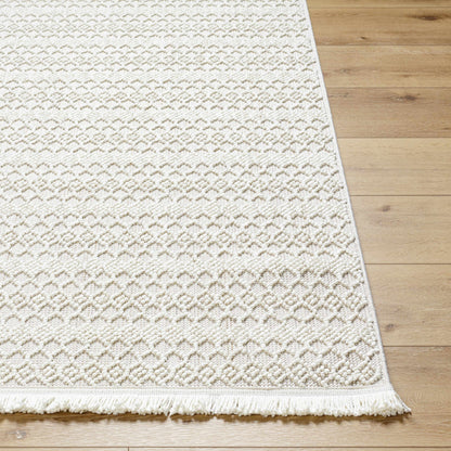 New Delhi NWH-2308 Machine Woven Rug