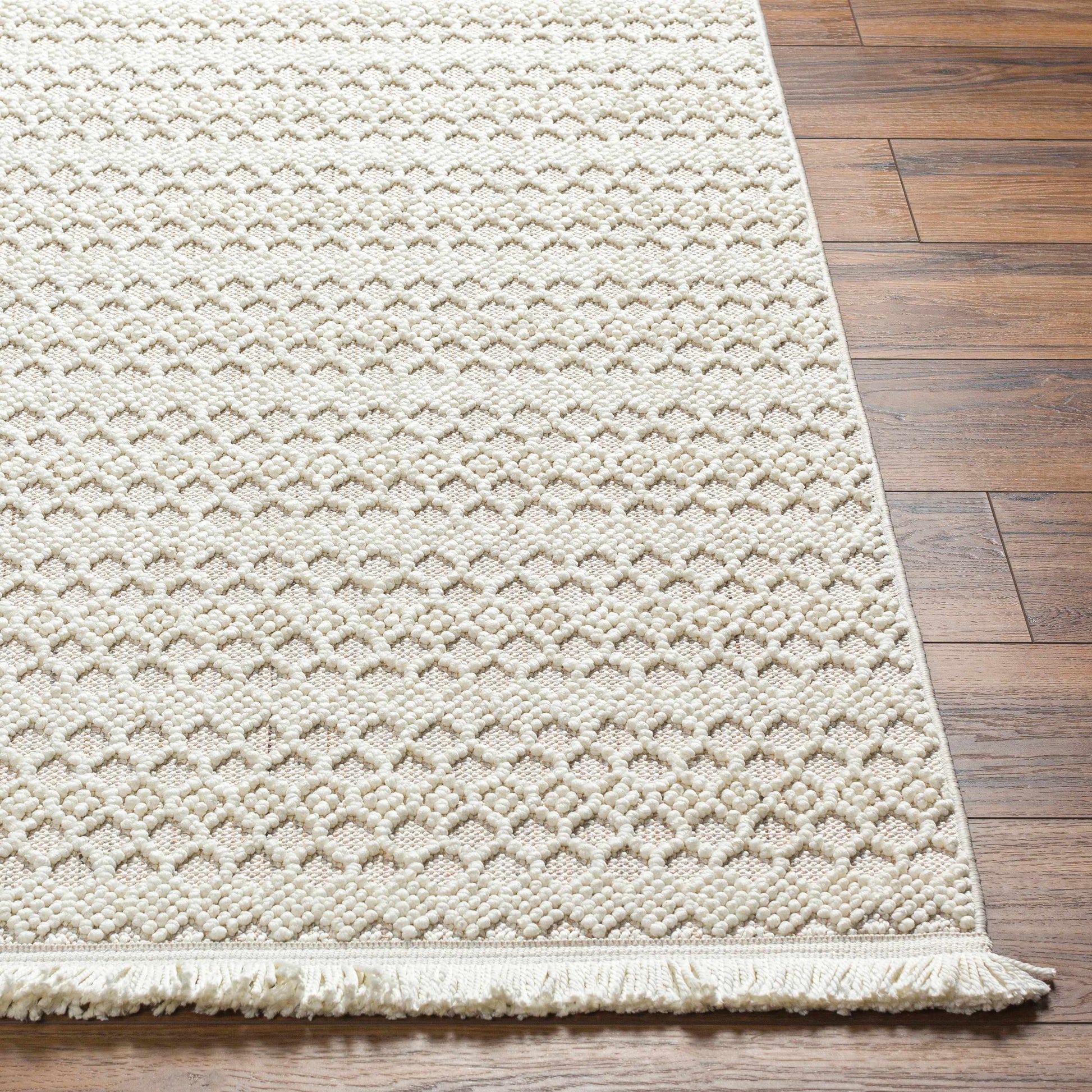 New Delhi NWH-2308 Machine Woven Rug