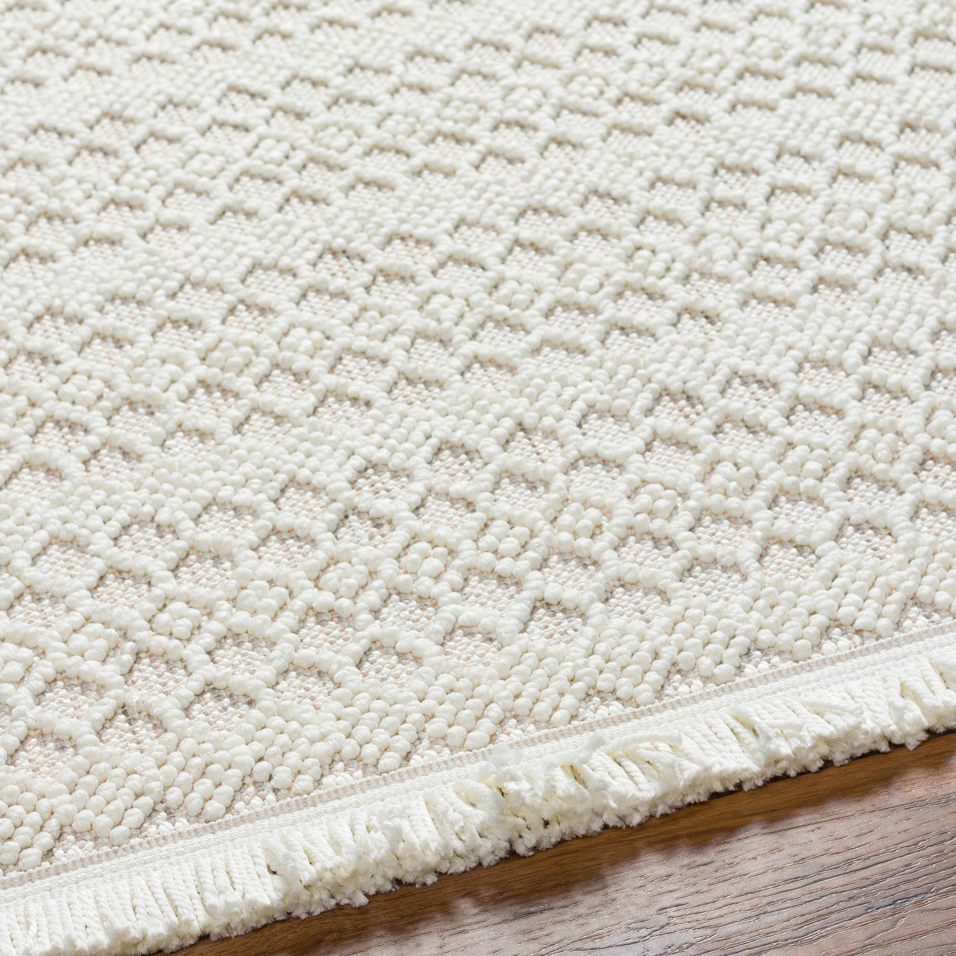 New Delhi NWH-2308 Machine Woven Rug