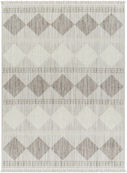 New Delhi NWH-2301 Machine Woven Rug