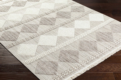 New Delhi NWH-2301 Machine Woven Rug
