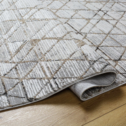 Obsession OBN-2302 Machine Woven Rug