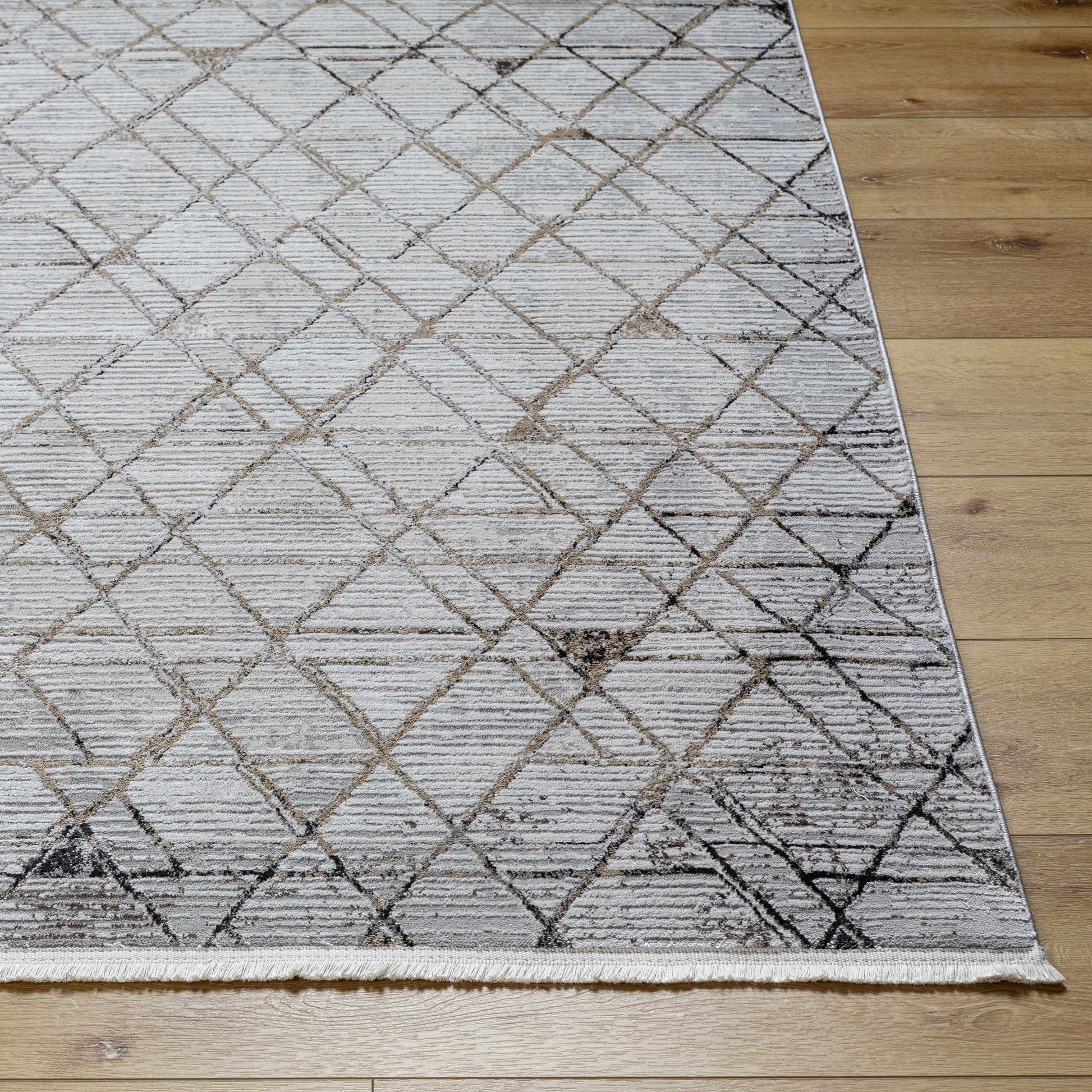 Obsession OBN-2302 Machine Woven Rug