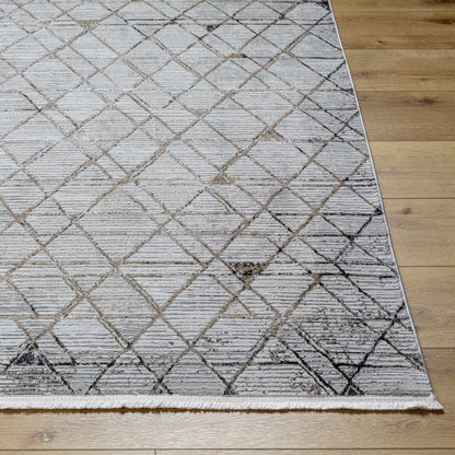 Obsession OBN-2302 Machine Woven Rug