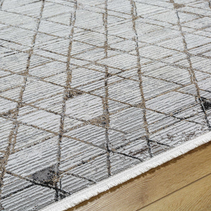 Obsession OBN-2302 Machine Woven Rug