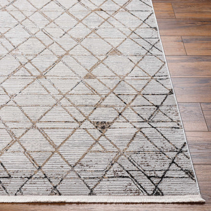 Obsession OBN-2302 Machine Woven Rug