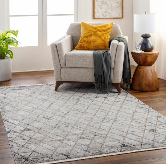 Obsession OBN-2302 Machine Woven Rug