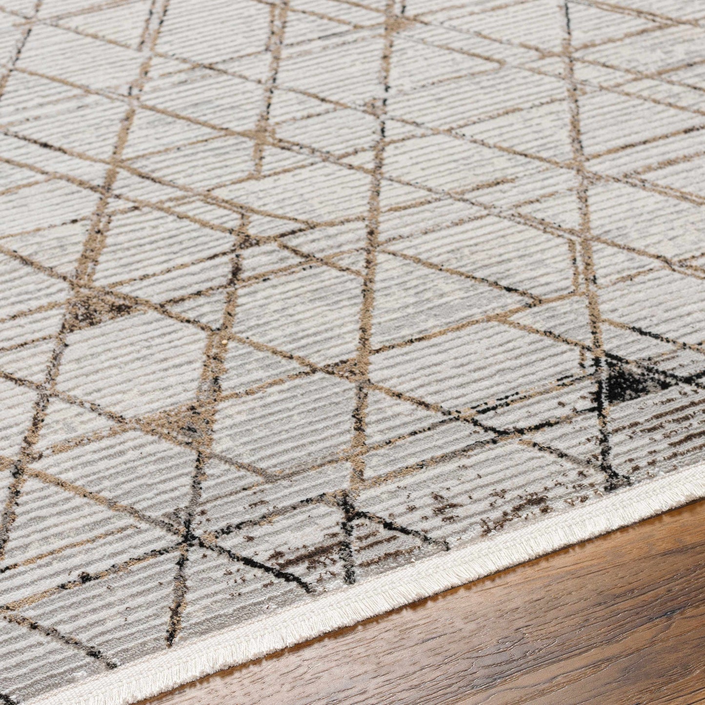 Obsession OBN-2302 Machine Woven Rug