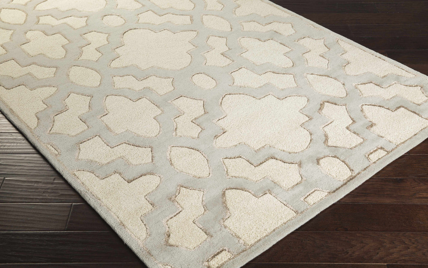 Modern Classics CAN-2041 Hand Tufted Rug