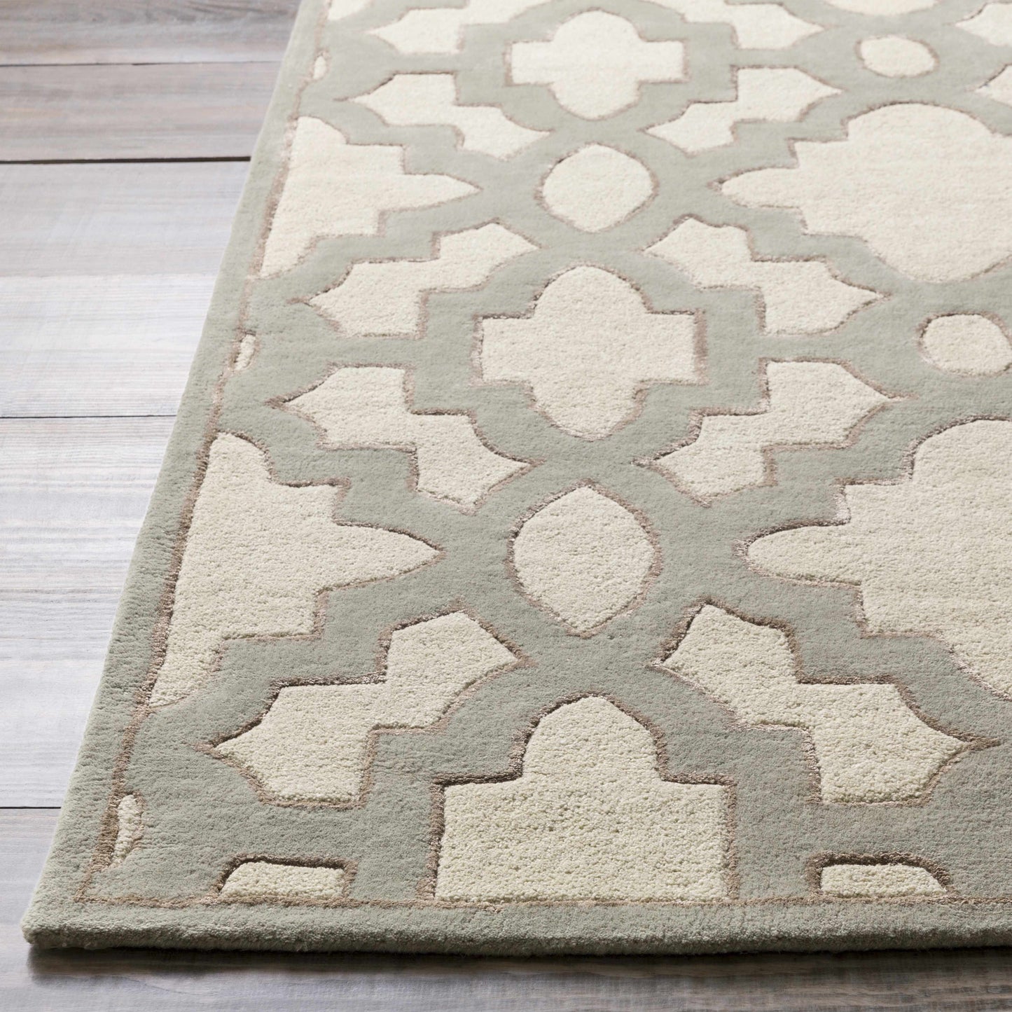 Modern Classics CAN-2041 Hand Tufted Rug