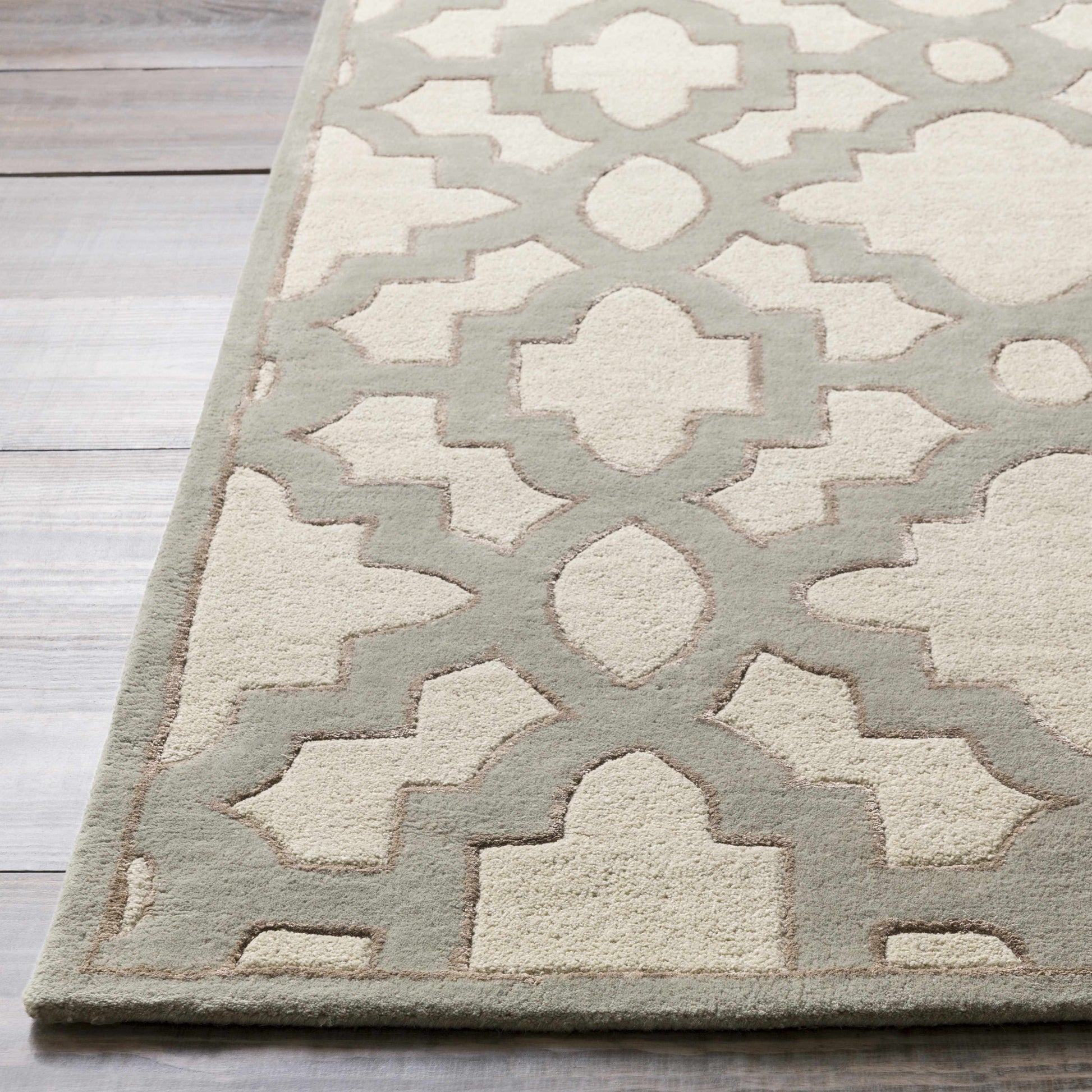 Modern Classics CAN-2041 Hand Tufted Rug