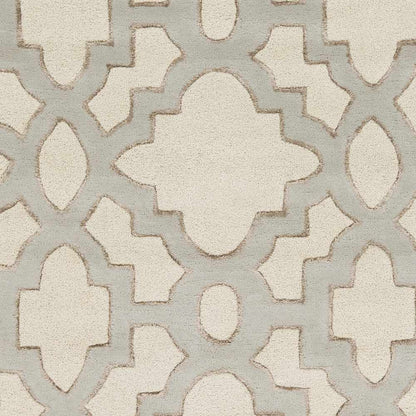 Modern Classics CAN-2041 Hand Tufted Rug