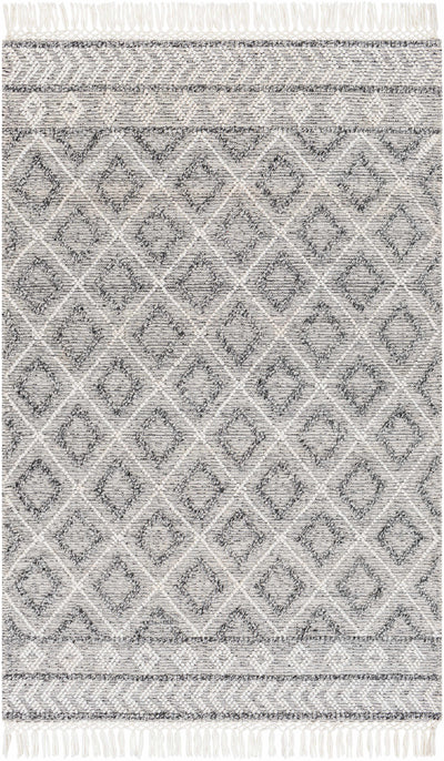 White Hand Woven 100% Recycled PET Yarn Global Rectangle Handmade rug, Indoor use only, has fringe, non-washable.