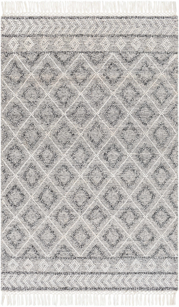 White Hand Woven 100% Recycled PET Yarn Global Rectangle Handmade rug, Indoor use only, has fringe, non-washable.