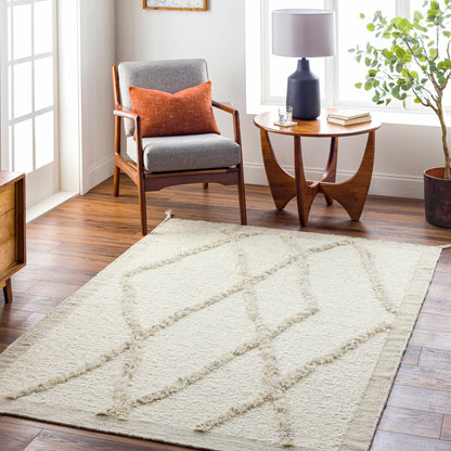 Tripoli TRP-2301 Handmade Rug