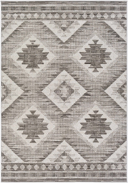 Rafetus ETS-2335 Machine Woven Rug