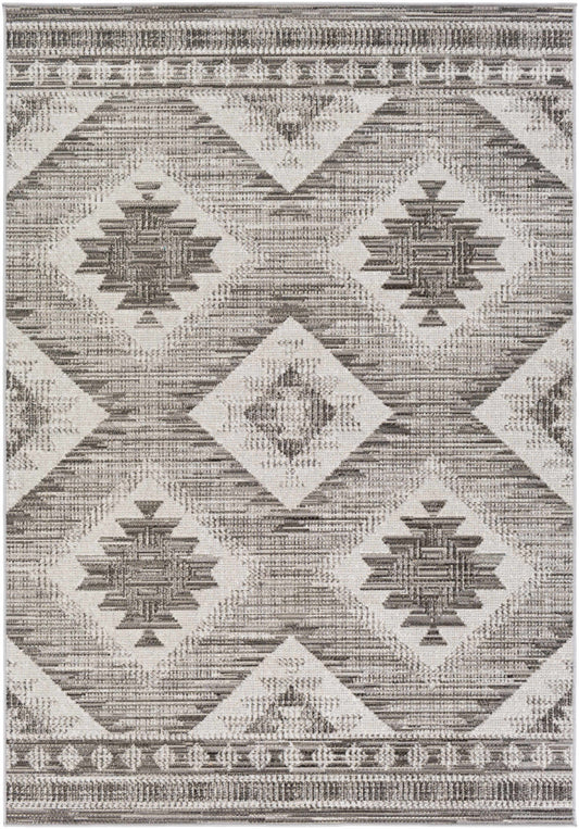 Rafetus ETS-2335 Machine Woven Rug