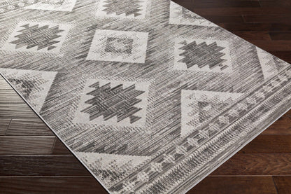 Rafetus ETS-2335 Machine Woven Rug