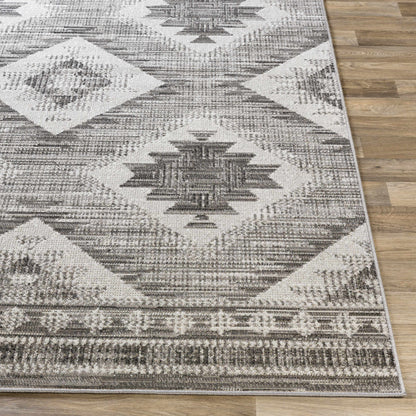 Rafetus ETS-2335 Machine Woven Rug