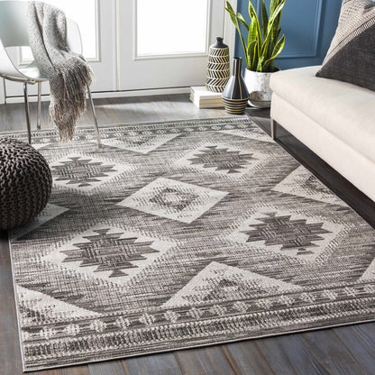 Rafetus ETS-2335 Machine Woven Rug