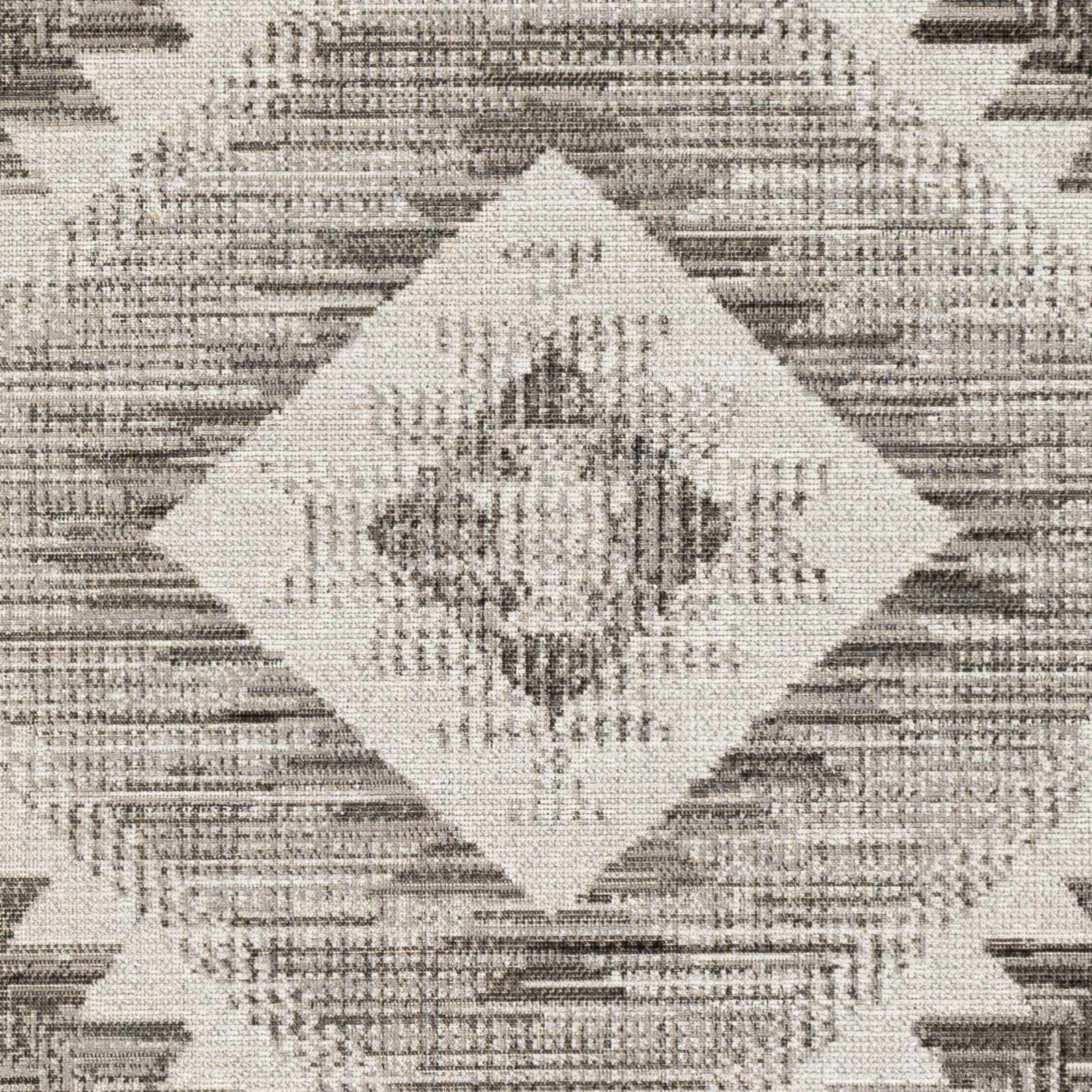 Rafetus ETS-2335 Machine Woven Rug
