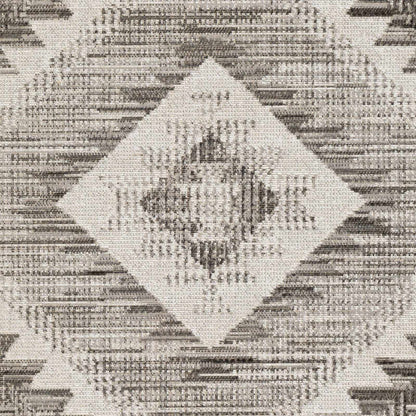 Rafetus ETS-2335 Machine Woven Rug