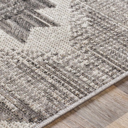 Rafetus ETS-2335 Machine Woven Rug