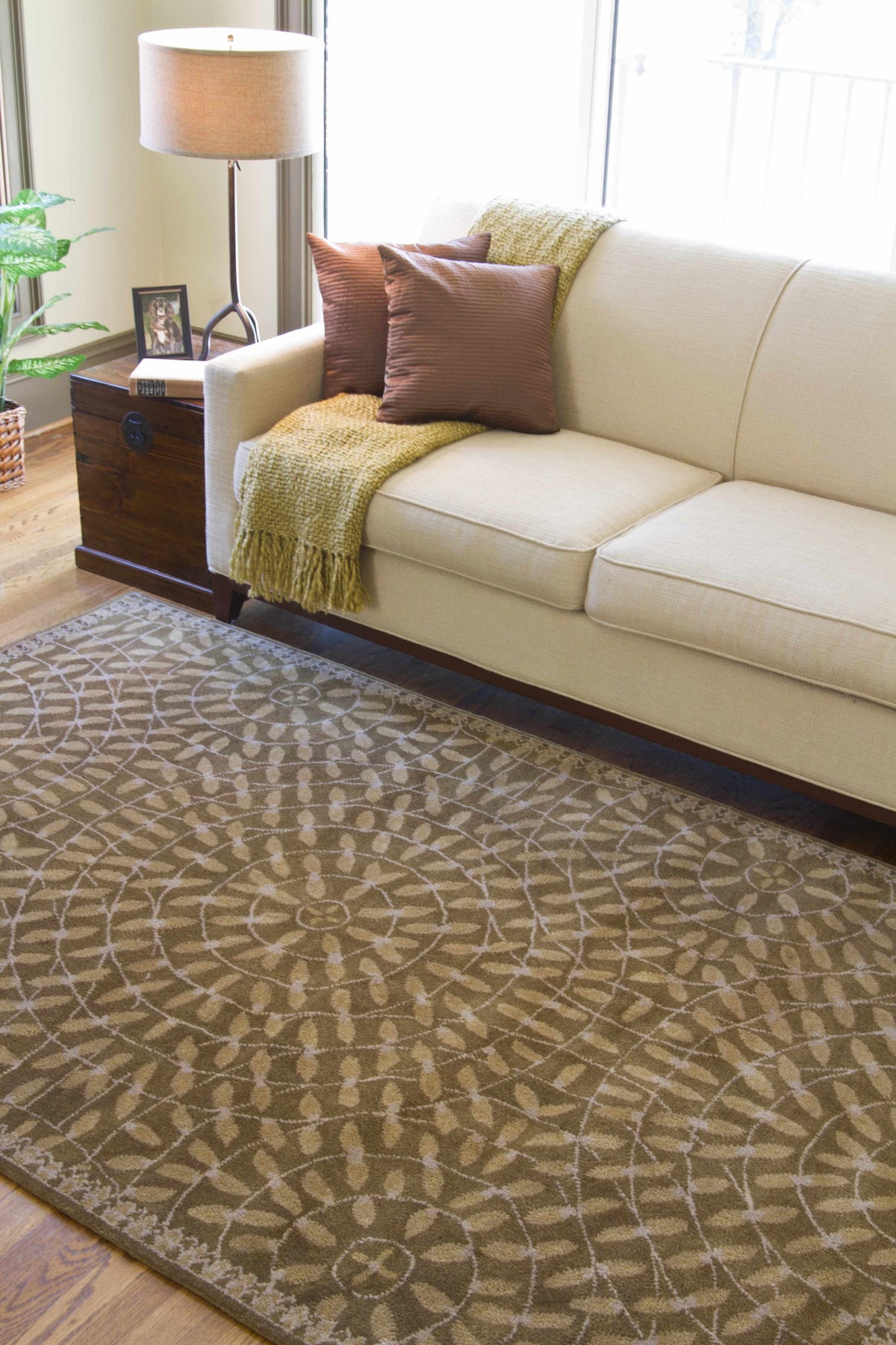 Dream DST-342 Hand Tufted Rug