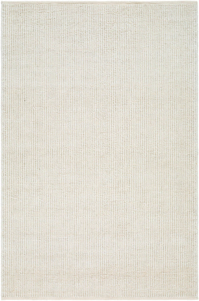 Beige Hand Woven 100% Recycled PET Yarn Modern Rectangle Handmade rug, Indoor use only, no fringe, non-washable.