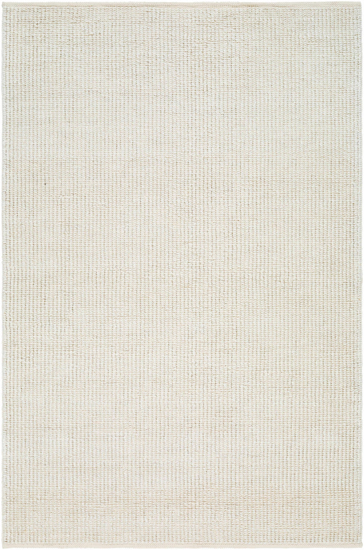 Beige Hand Woven 100% Recycled PET Yarn Modern Rectangle Handmade rug, Indoor use only, no fringe, non-washable.